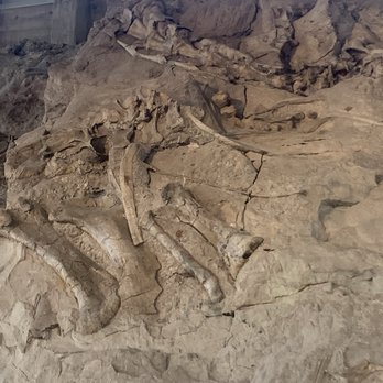 Dinosaur National Monument - Landmarks & Historical Buildings Near Me - Jensen, Utah