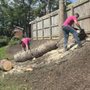 Senica's Tree Service
