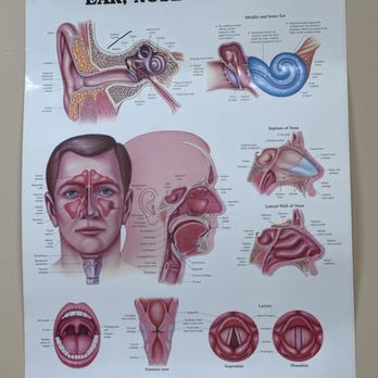 Quoc Nguyen, MD - Ear nose throat experts - Ear Nose & Throat Near Me - Garden Grove, California Quoc Nguyen, MD - Ear nose throat experts - Ear Nose & Throat Near Me - Garden Grove, California
