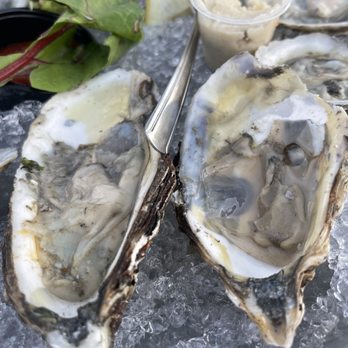 Smuggler Jack's - Look at how dirty and filthy these oysters are. - Seafood Near Me - Massapequa, New York