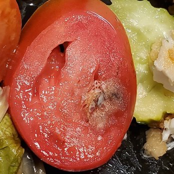 SriThai Thai Kitchen & Sushi Bar - Duluth - MOLDY tomato in yum yum fish - Japanese Near Me - Duluth, Georgia SriThai Thai Kitchen & Sushi Bar - Duluth - MOLDY tomato in yum yum fish - Japanese Near Me - Duluth, Georgia