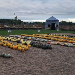 Big Marine Country Farms