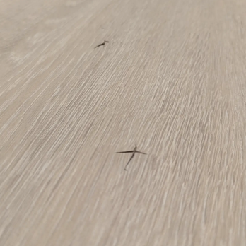 Abodu - Floors has several areas with nails popping up which is a safety hazard - General Contractors Near Me - Redwood City, California