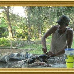 Withlacoochee River RV Park & Canoe Rental - Withlacoochee River RV Park & Canoe Rental