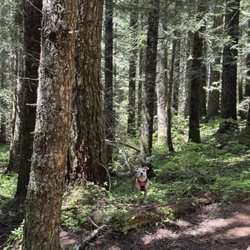 Burnt Lake Trail