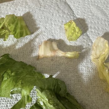 Farmer Boys - Rotten lettuce!!!! - Breakfast & Brunch Near Me - Chino, California