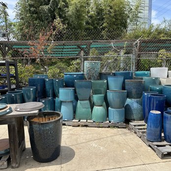 Yamaguchi Bonsai Nursery - Nurseries & Gardening Near Me - Los Angeles, California Yamaguchi Bonsai Nursery - Nurseries & Gardening Near Me - Los Angeles, California
