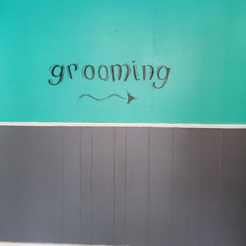 Pups-N-Suds - Pet Groomers Near Me - Gardner, Kansas