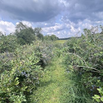 Lehmans Orchard - Surrounded by beautiful natural landscape and spacious skies. - Farmers Market Near Me - Niles, Michigan