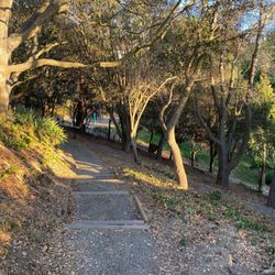 Dorothy M.Bolte Park