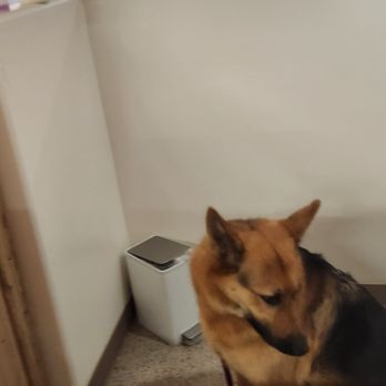 Barkys Bathtime - Pet Groomers Near Me - Rancho Cucamonga, California