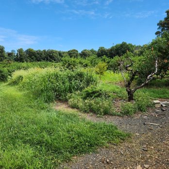 HILLVIEW FARMS - Updated January 2026 - 100 Photos & 66 Reviews - 223