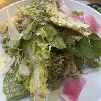 Plateia - Gem salad - Mediterranean Near Me - Los Angeles, California Plateia - Gem salad - Mediterranean Near Me - Los Angeles, California