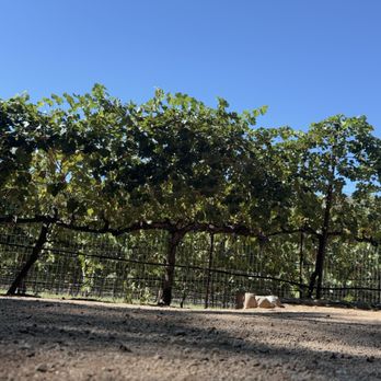 Page Springs Cellars - Massage Near Me - Cornville, Arizona Page Springs Cellars - Massage Near Me - Cornville, Arizona