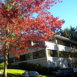 Federal Way Muscular Therapy