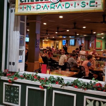 Cheeseburger In Paradise - Burgers Near Me - Honolulu, Hawaii Cheeseburger In Paradise - Burgers Near Me - Honolulu, Hawaii