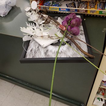 Hobby Lobby - Today's treasures! - Hobby Shops Near Me - Killeen, Texas