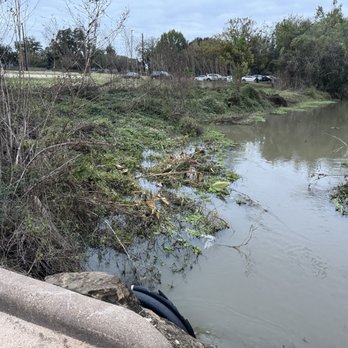 Oyster Creek Park - Not sure why I took this picture lol - Parks Near Me - Sugar Land, Texas Oyster Creek Park - Not sure why I took this picture lol - Parks Near Me - Sugar Land, Texas