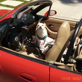 JB Automotive - happy car happy customer - Auto Repair Near Me - San Jose, California