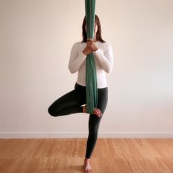 The Yoga Studio