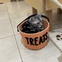 Photo of Cat Cafe MOFF Pearlridge Center