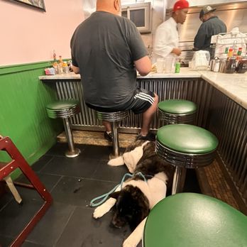 The Camellia Grill - Yes! That's a huge dog laying on the floor. Never made a peep. - American Near Me - New Orleans, Louisiana The Camellia Grill - Yes! That's a huge dog laying on the floor. Never made a peep. - American Near Me - New Orleans, Louisiana