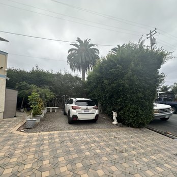 Benito's Gardening - Tree Services Near Me - San Juan Capistrano, California Benito's Gardening - Tree Services Near Me - San Juan Capistrano, California