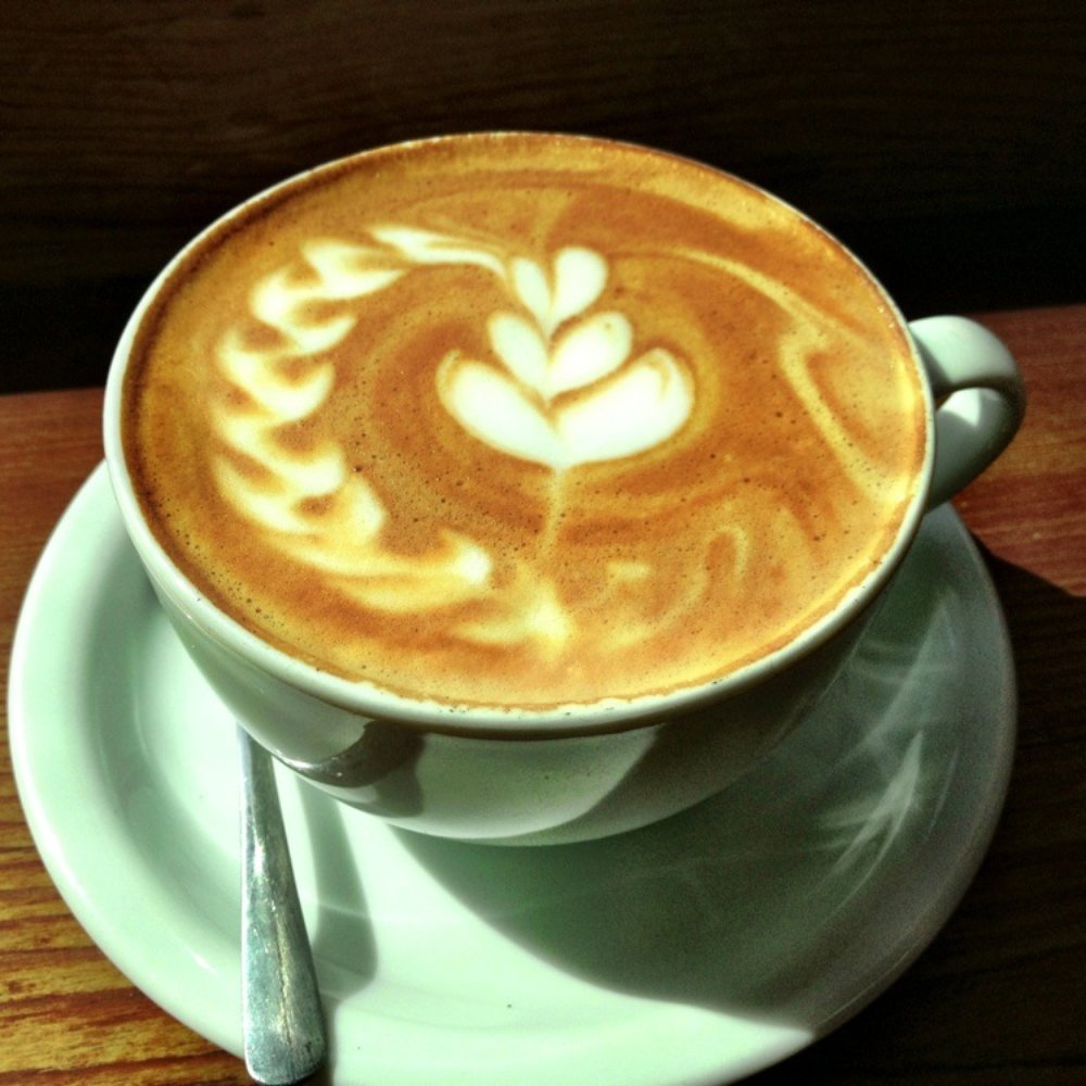 Avid Coffee - Perfect latte - Cafes Near Me - Santa Rosa, California