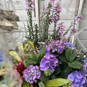 Shelldance Orchid Gardens - Assortment of different plants - Nurseries & Gardening Near Me - Pacifica, California