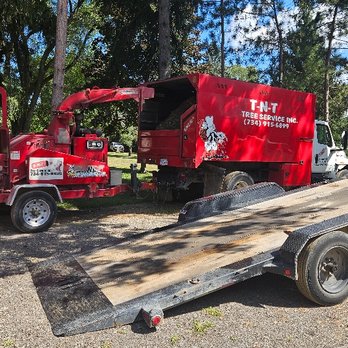 TNT Tree Service - Tree Services Near Me - Belleville, Michigan TNT Tree Service - Tree Services Near Me - Belleville, Michigan