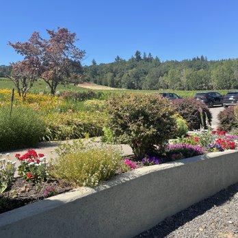 Cristom Vineyards - Wineries Near Me - Salem, Oregon Cristom Vineyards - Wineries Near Me - Salem, Oregon