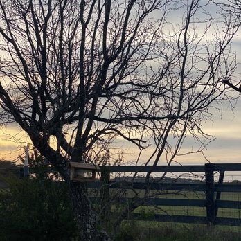 Open Air Resorts - They have birds that frequent the birdhouses all over. - RV Parks Near Me - Spicewood, Texas Open Air Resorts - They have birds that frequent the birdhouses all over. - RV Parks Near Me - Spicewood, Texas