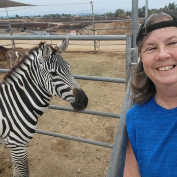 Sugarplum Zoo - Chocolatiers & Shops Near Me - Temecula, California