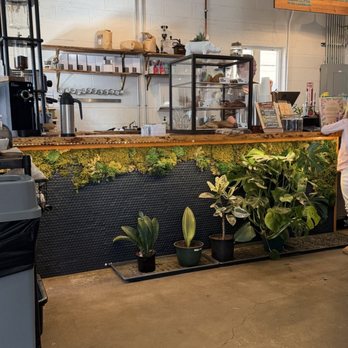 Dandy Lion Coffee - Coffee & Tea Near Me - Denver, Colorado Dandy Lion Coffee - Coffee & Tea Near Me - Denver, Colorado