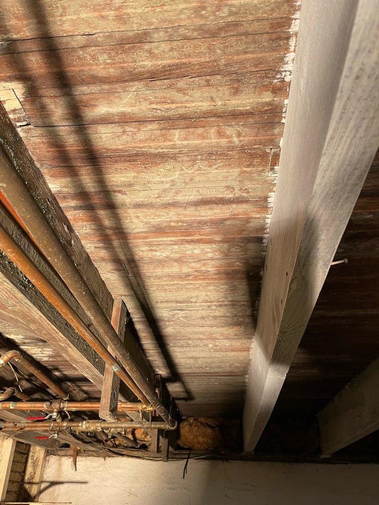 Green Home Solutions - Cleveland - home care agency in Cleveland, OH