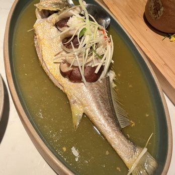 Cheli - Steamed yellow croaker - Shanghainese Near Me - New York, New York