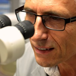 Cohens Fashion Optical - Bensalem - Dr. John Roman, Optometrist