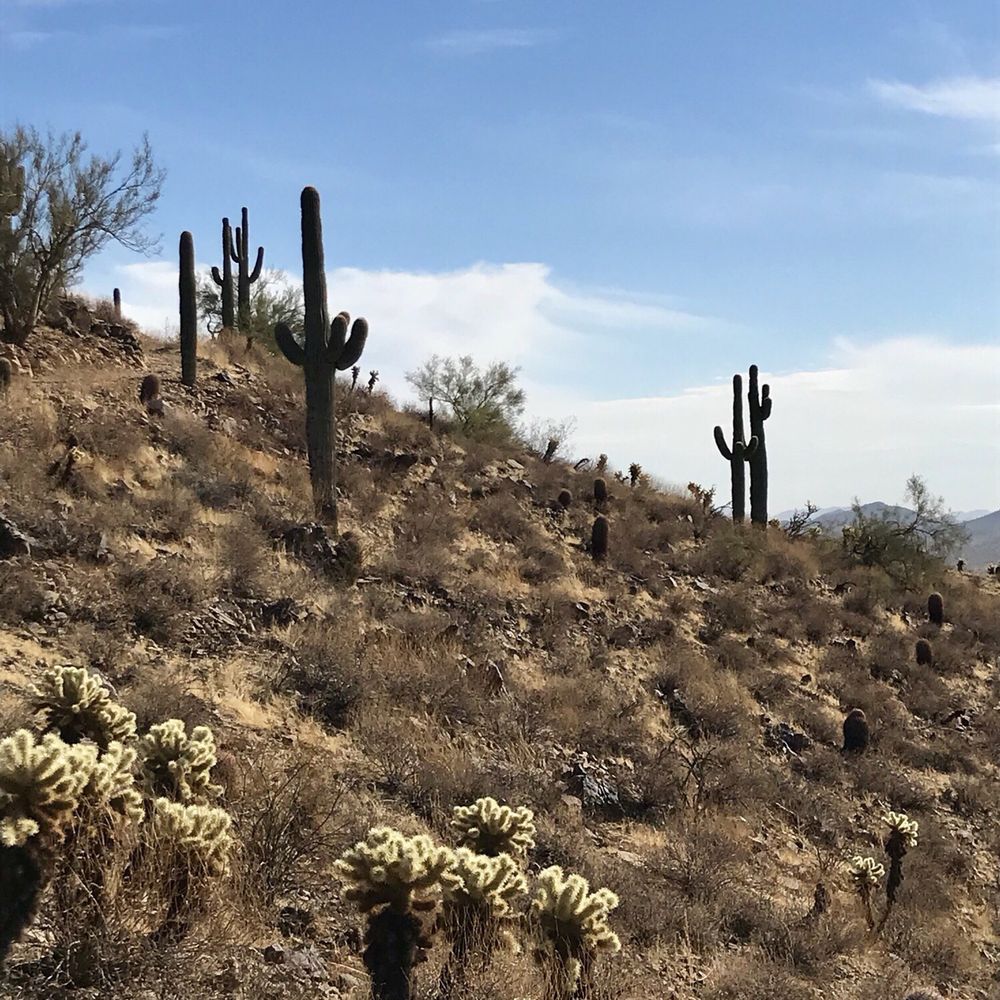 Sonoran Preserve - Hiking Near Me - Phoenix, Arizona