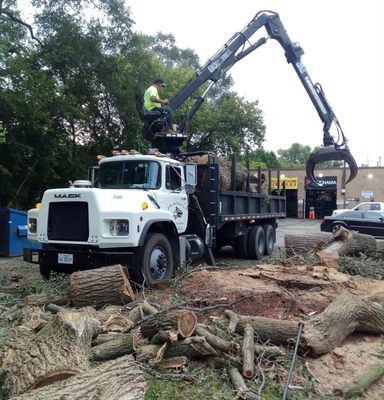 Logging, Land Clearing, & Wood Chipping Services - M&S Tree Service - Logging, Land Clearing, & Wood Chipping Services - M&S Tree Service