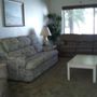 Photo of Spring Cleaning and Services