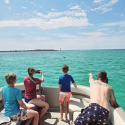 Crab Island Pontoons