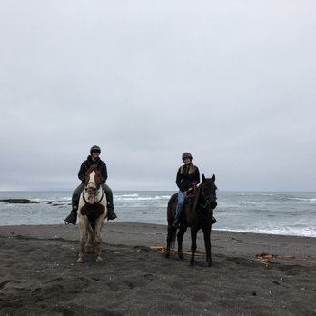 Ricochet Ridge Ranch - Tours Near Me - Fort Bragg, California Ricochet Ridge Ranch - Tours Near Me - Fort Bragg, California