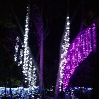Midsummer Night's gleam - Hanging lights!!! - Festivals Near Me - Honolulu, Hawaii Midsummer Night's gleam - Hanging lights!!! - Festivals Near Me - Honolulu, Hawaii