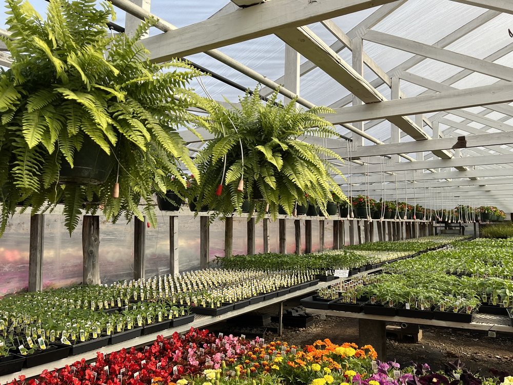 MORRISON’S GREENHOUSES Updated October 2024 18 Photos 5613 Cooper Chapel Rd, Louisville