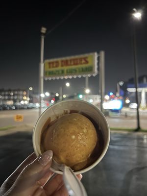 Ted Drewes Frozen Custard by null