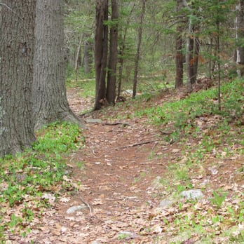 Penny Lake Preserve - Nice easy trails - Parks Near Me - Boothbay Harbor, Maine Penny Lake Preserve - Nice easy trails - Parks Near Me - Boothbay Harbor, Maine