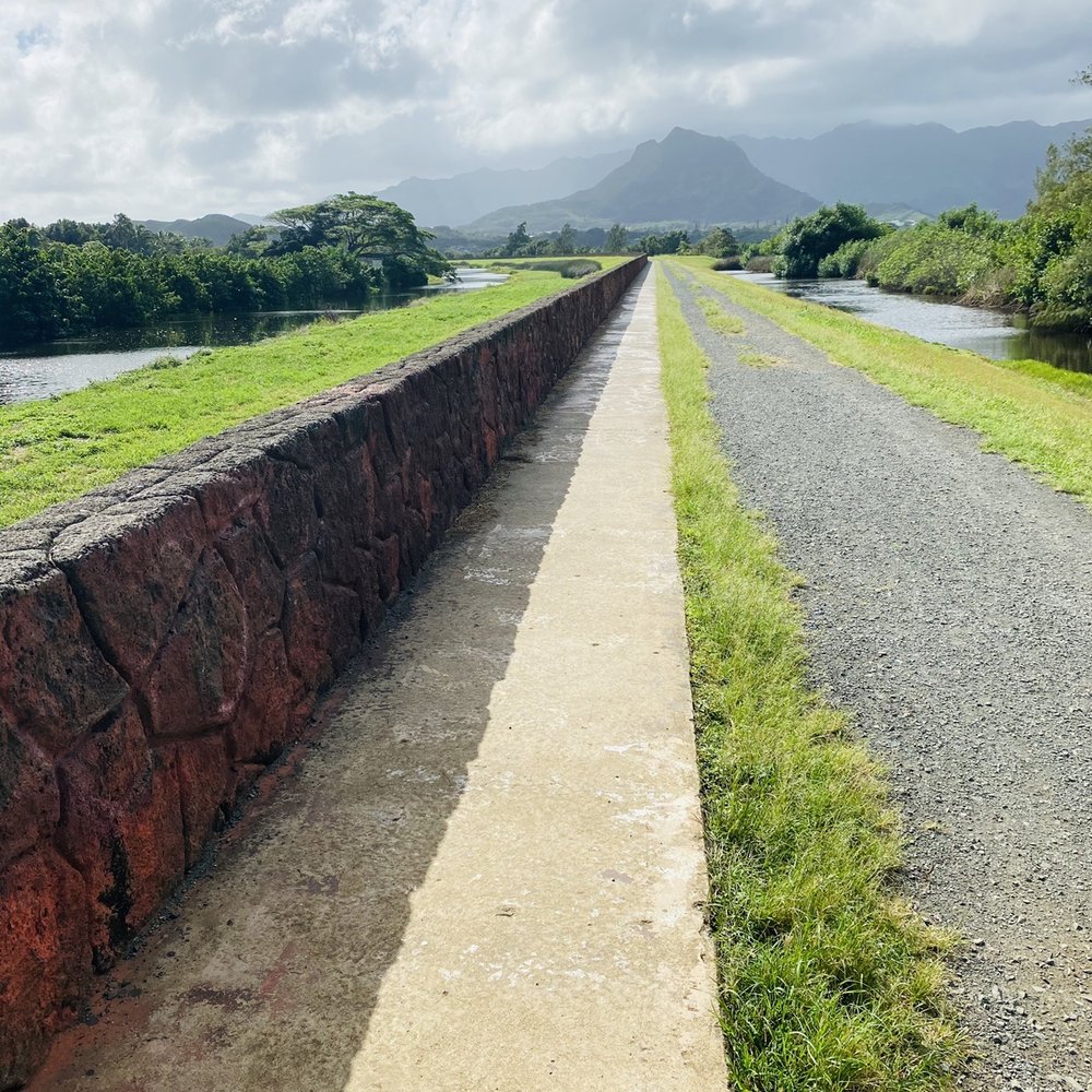 Kawainui Marsh Trail - Hiking Near Me - Kailua, Hawaii