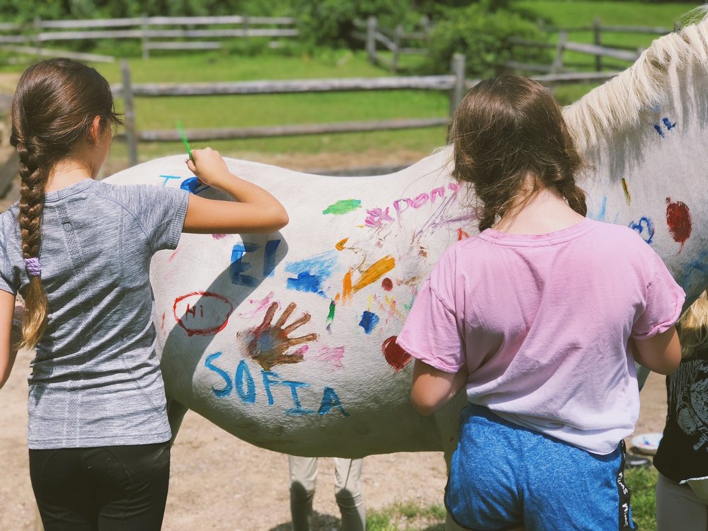 GOLD COAST EQUESTRIAN Updated May 2024 15 Photos 62 Hegemans Ln