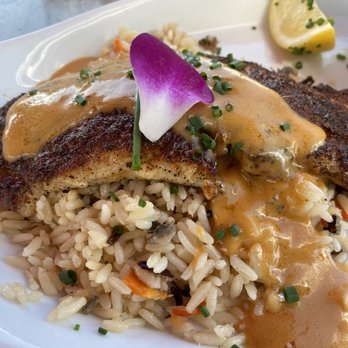 Square Grouper - Islamorada - Blackened snapper with key lime butter and rice - Seafood Near Me - Islamorada, Florida Square Grouper - Islamorada - Blackened snapper with key lime butter and rice - Seafood Near Me - Islamorada, Florida