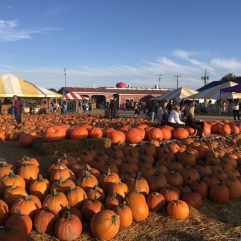 Blake's Orchard & Cider Mill - Fruits & Veggies Near Me - Armada, Michigan Blake's Orchard & Cider Mill - Fruits & Veggies Near Me - Armada, Michigan